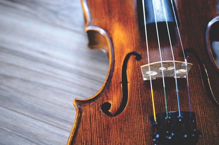 Brown and black violin &mdash; classical instrument close up